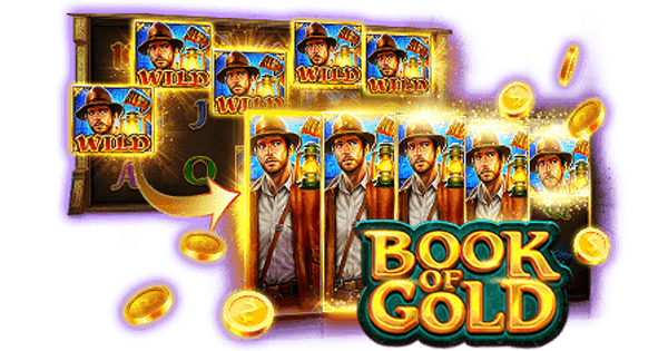 BOOK OF GOLD